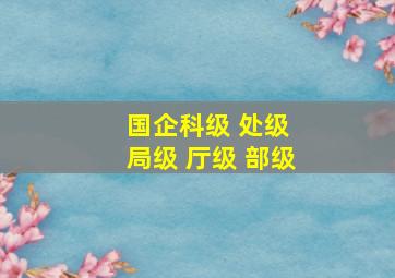 国企科级 处级 局级 厅级 部级